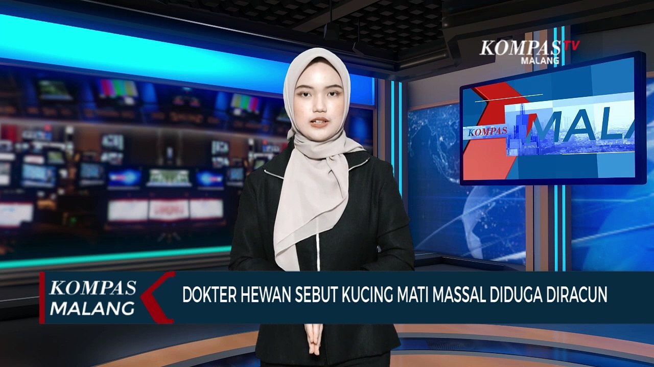 Dokter Hewan Sebut Kematian Massal Kucing Kemungkinan Besar karena Diracun