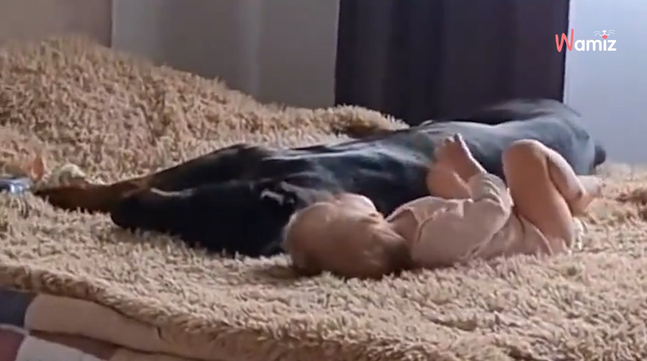 Frau öffnet die Schlafzimmertür: Was auf dem Bett abgeht, kann sie nicht fassen