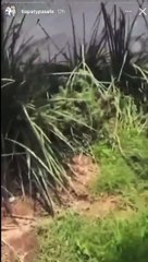 Fernando Gago - Casa Guadalajara