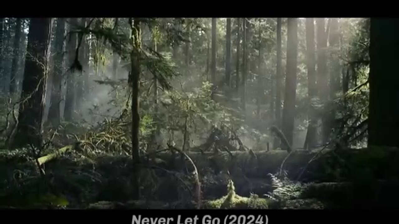 Never Let Go 2024 Review
