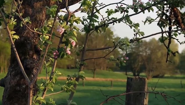 Rote Rosen Folge 4041