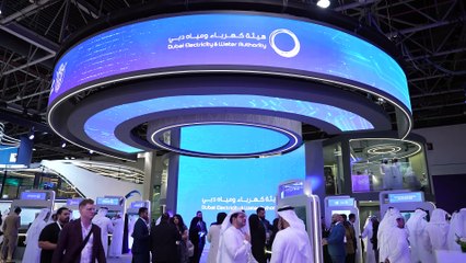 Dubai: 2 private companies get licence to operate EV charging stations