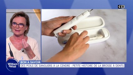 Bon à savoir : Des poils de sangliers à la cendre, petite histoire de la brosse à dents