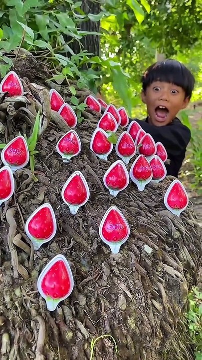 Survival Skills_ SIMPLE and USEFUL #bushcraft #camping #outdoors #shorts #reels #viral (12)