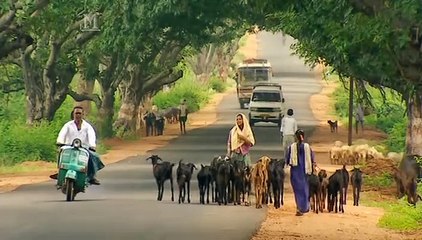 Wellington The Iron Duke Episode 1 The Making of a Man