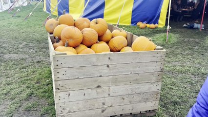 Farmer Copleys' Pumpkin Festival