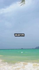 What are Tropical Cyclones? ️