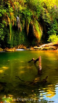 Natural Music with water flow sounds || Nature Discovery........... . . #nature #relax #relaxing #naturevibes #naturevideos #water #short #natureshots