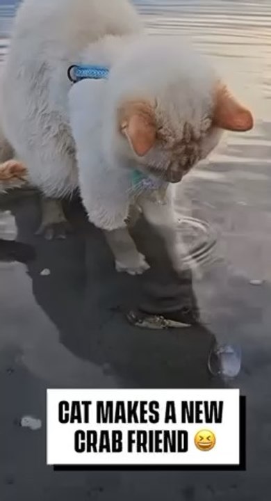 Just find a new friends