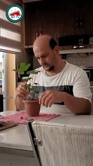 İşte en yeni videom