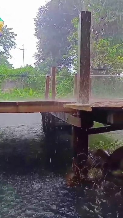 Rain drops. Water sound #effect video #Shorts video #Reels #video #raindrop #water #sound #effect