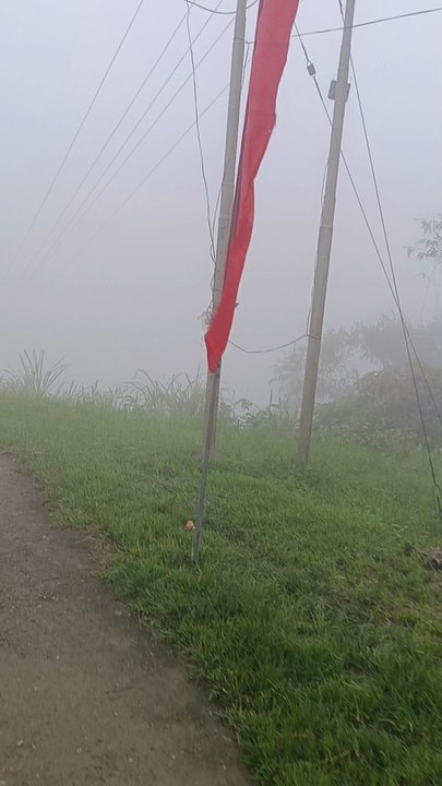 Indo-Myanmar Border. Pangsao Pass.