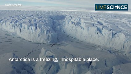 Could Antarctica Ever Be Habitable?