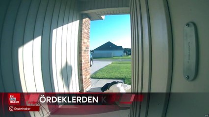 Ördeklerden korkup annesine koşan küçük kız