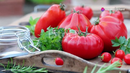 Discover Delicious Raw Food Recipes