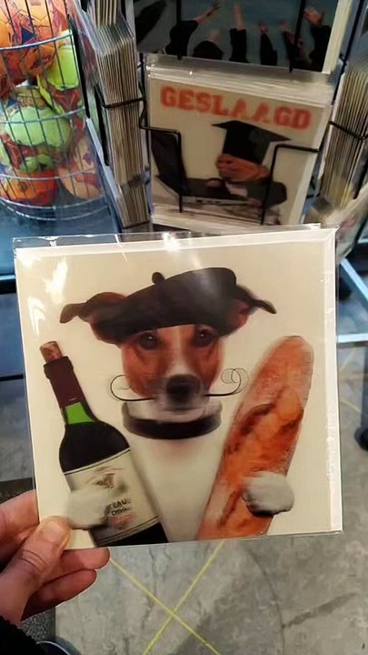 THRIFT SHOP FIND