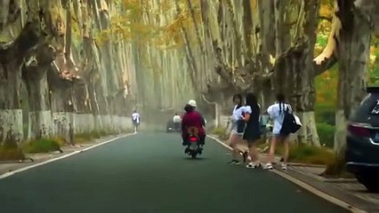 「korollue情報」緑の草の秘密