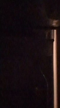 Et hop ça c'est pris discretos !!!#children #enfant #enfants #enfantsterribles #enfantsparents #betises #humour #humor #love #famille