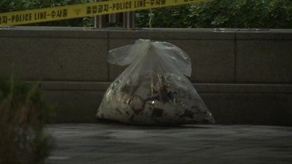 북한, 8일 만에 대남 쓰레기 풍선 또 부양 / YTN