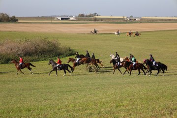 Hubertus w Stadzie Ogierów
