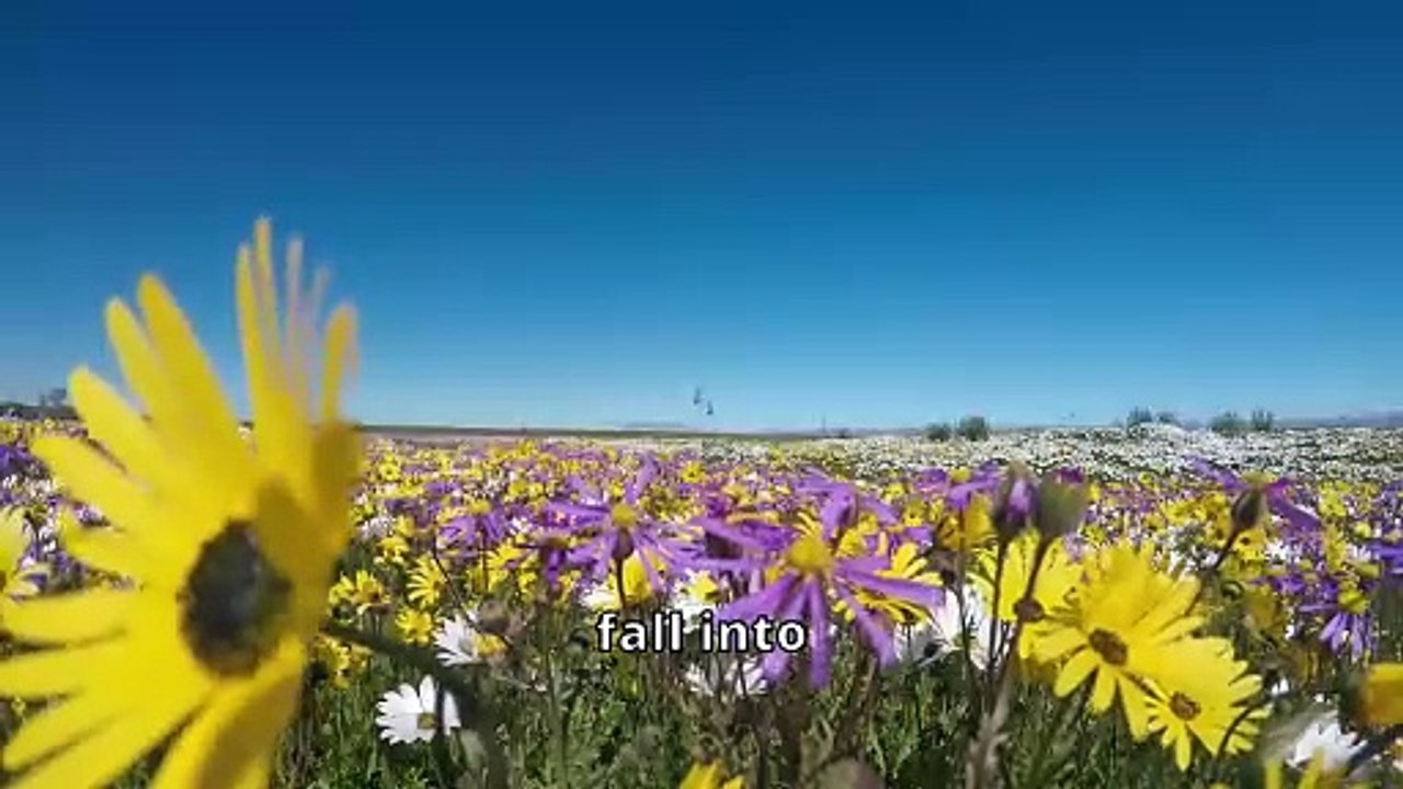 How to Cultivate Resilience in Difficult Times Master Shi Heng Yi