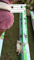 Don't Lean On Your Understanding Alone