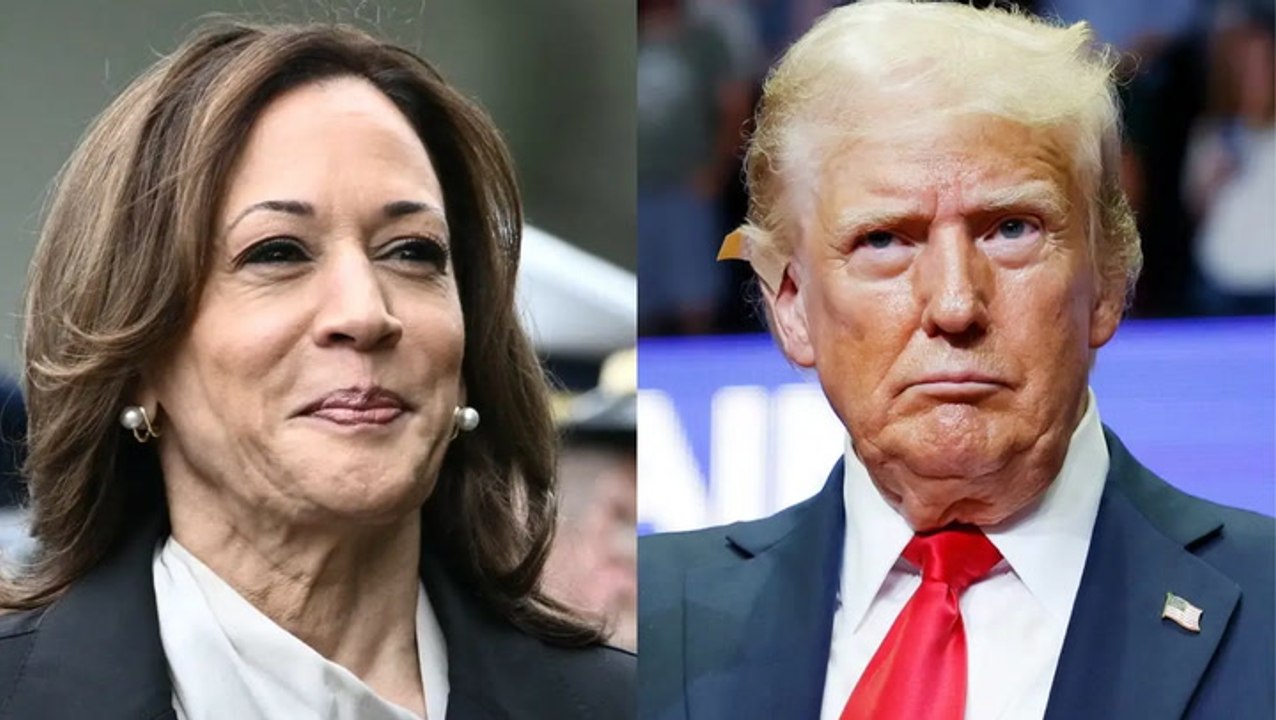 How these 7 swing states could decide the 2024 US election - video ...