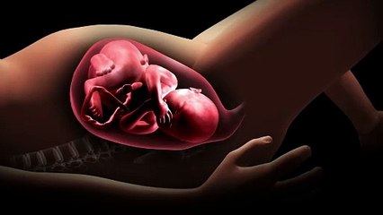 pregnant-female-giving-childbirth-with-cutaway-view-of-fetus-in-womb-SBV-311199493-HD