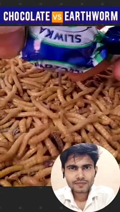 chocolate  Earthworm