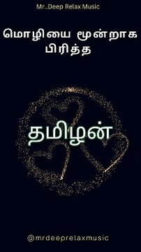 Calming Music Whispers of Relaxation: Your Ultimate Chill Music