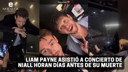 Liam Payne asistió a concierto de Niall Horan días antes de su muerte