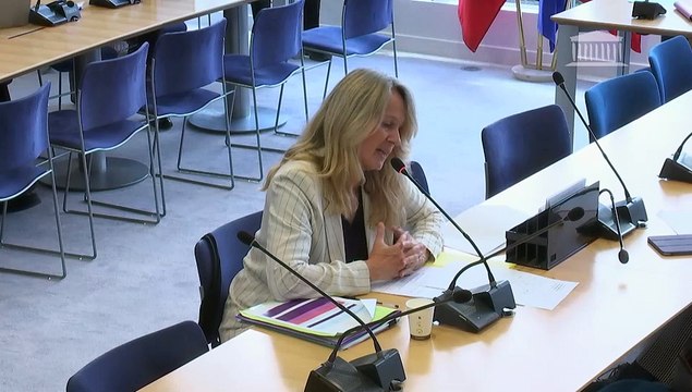 Commission des affaires européennes : Prélèvement sur recettes au bénéfice de l'Union européenne (PSR-UE) et ressources propres du budget de l’Union - Mercredi 16 octobre 2024