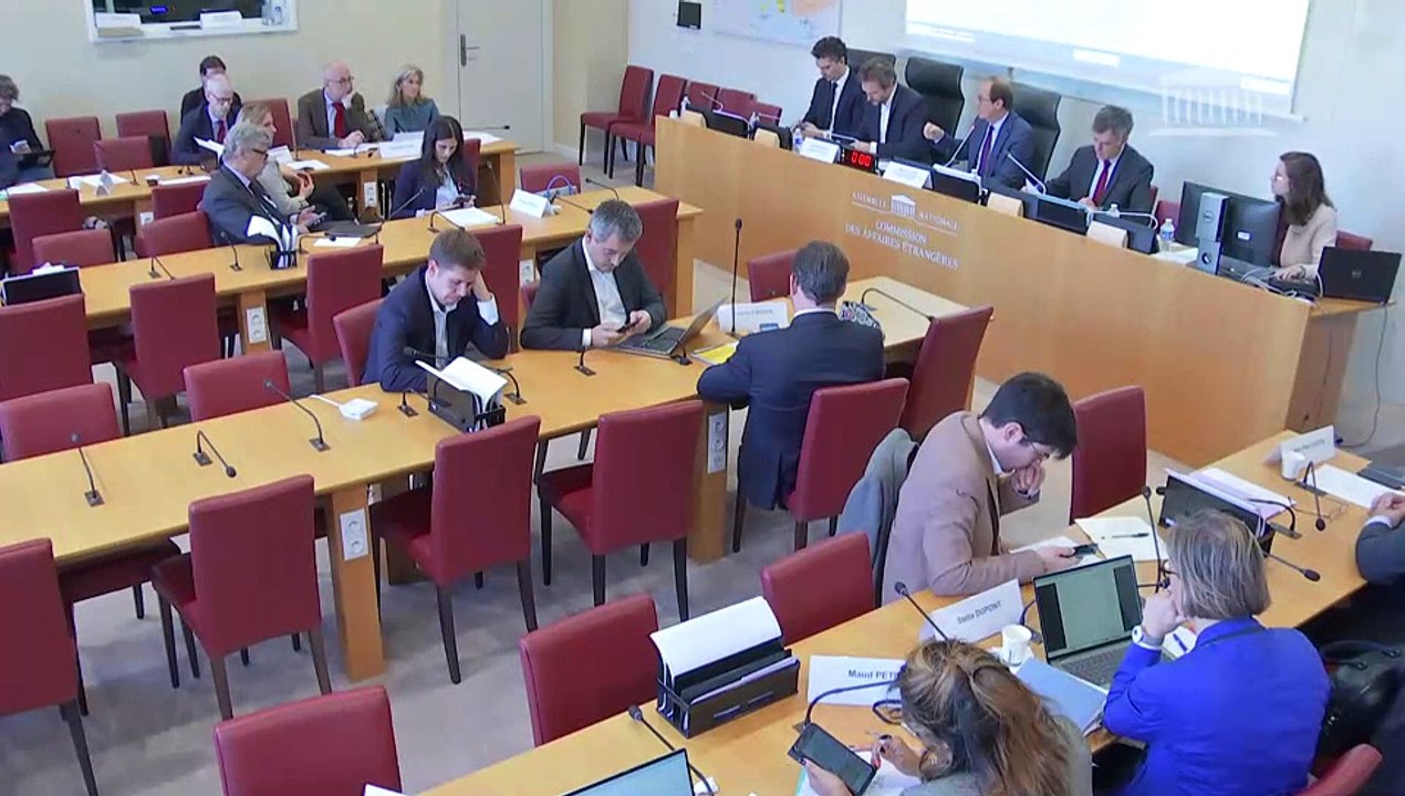 Commission des affaires étrangères : Avis budgétaires sur le projet de loi de finances pour 2025 - Mercredi 16 octobre 2024