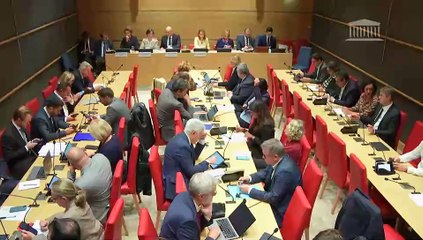Commission des affaires culturelles : Auditions diverses - Mercredi 16 octobre 2024