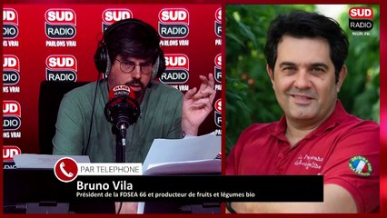 Crise des agriculteurs : La ministre de l’Agriculture dans les Pyrénées-Orientales ce jeudi