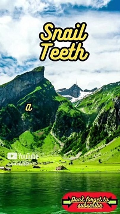 Animal Facts        Snail Teeth          #shorts