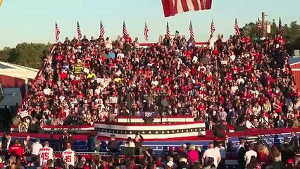 Trump und Musk: "Bromance" im US-Wahlkampf