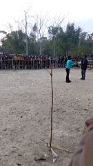 cook fight in Assam India