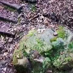 Movie Clips From Netflix 2024