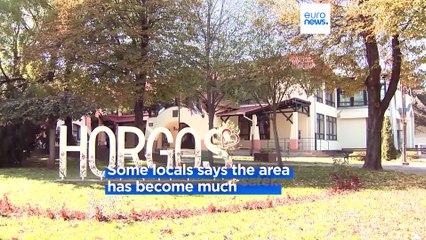 Serbian authorities clear illegal immigrant camp on Hungary border