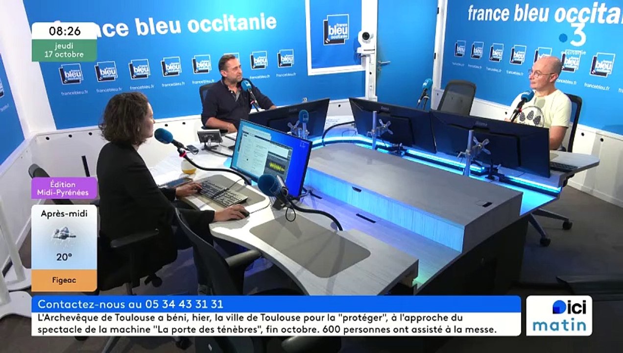 Qu'es aquò: taureau, bœuf, chiens, ces animaux qui font partie de l'histoire de Toulouse