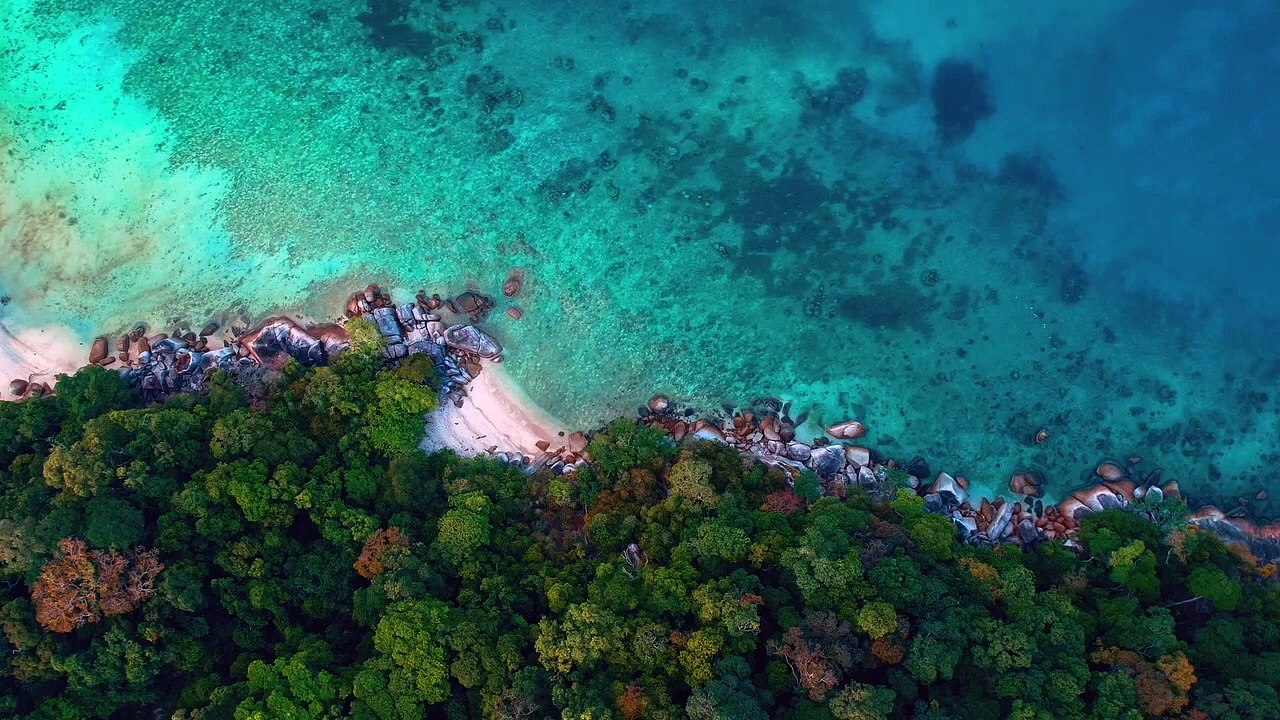 Exotic Relaxing Music for Stress Relief _ Meditation Music, Sleep Music, Study Music