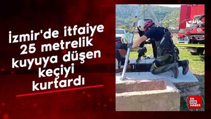 İzmir'de itfaiye 25 metrelik kuyuya düşen keçiyi kurtardı