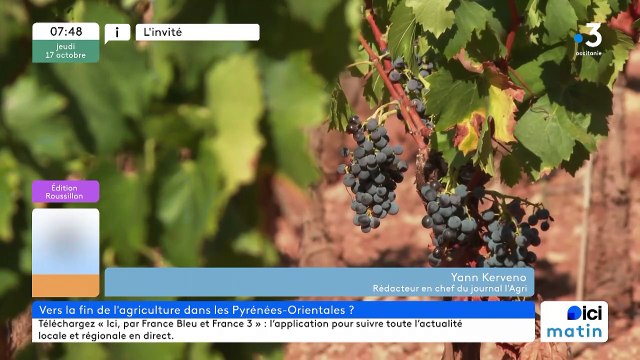 La crise agricole dans les Pyrénées-Orientales vue par Yann Kervéno, du journal l'Agri