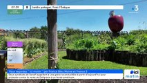 17/10/2024 - ICI Matin France Bleu Maine en vidéo