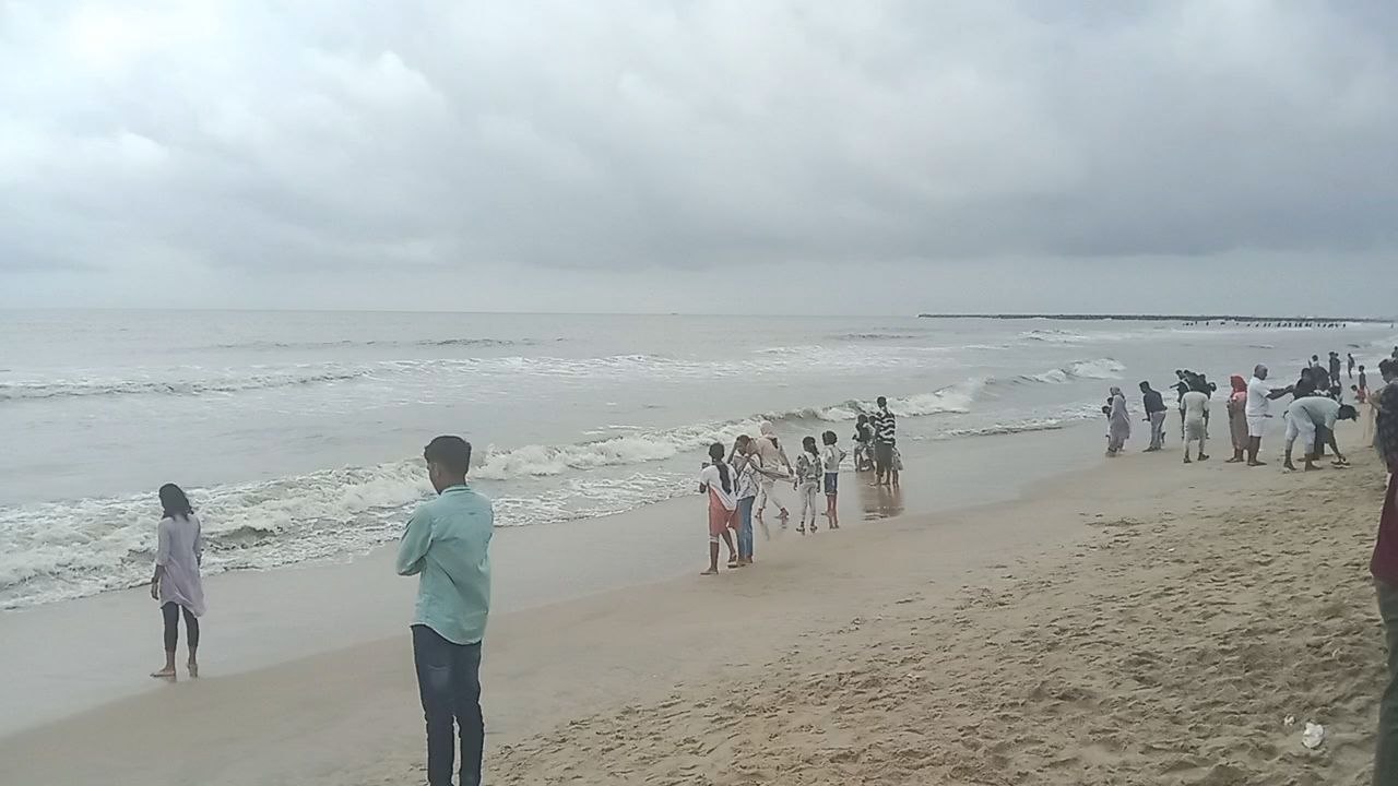 samander Paar short video