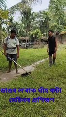 At the time of cutting the grass