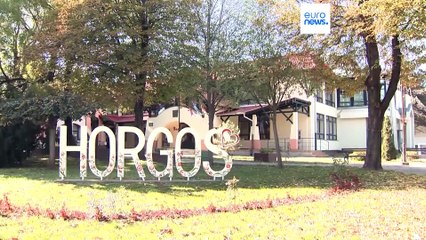 Сербские власти вывезли нелегальных мигрантов с венгерской границы