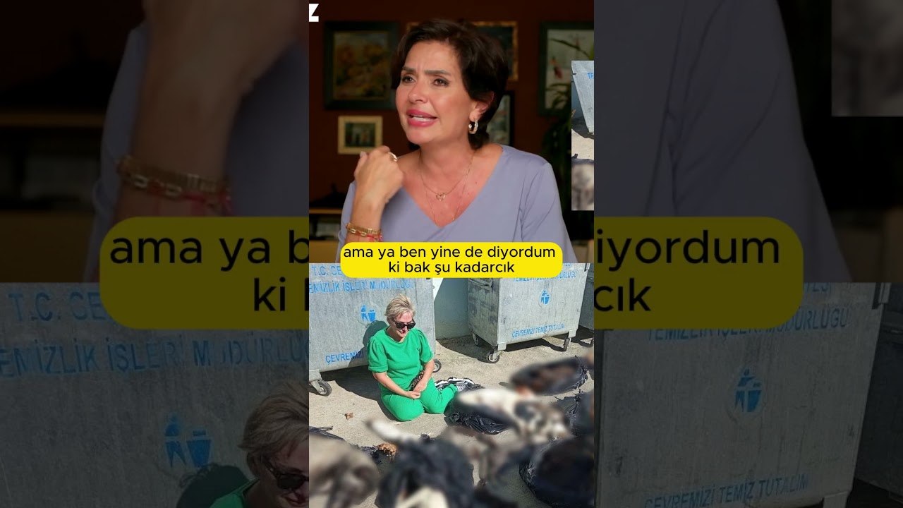 Siz Kimsiniz ki Kedileri Köpekleri Öldürüyorsunuz! #özlemgürses #shorts