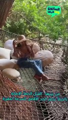 تفاصيل صدور الحكم النهائي لقضية فاطمة المؤمن